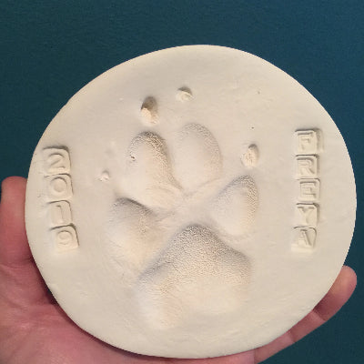 Pet Paw Print or Nose Print Keychain