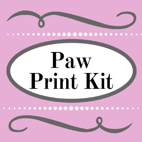 Paw Print Kit