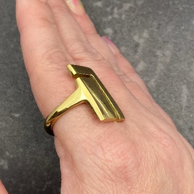 Geometric "L" Ring