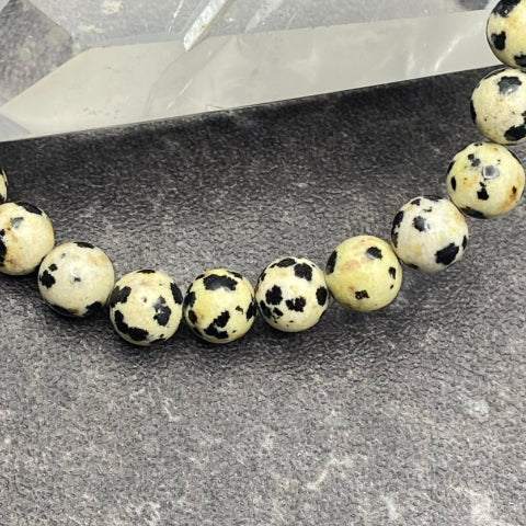 Dalmatian Jasper Bracelet