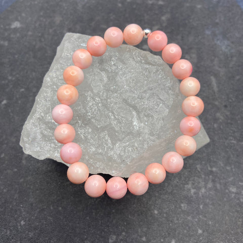 Pink Queen Conch Shell