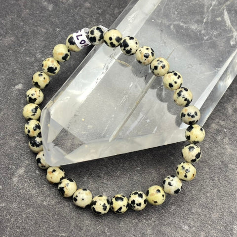 Dalmatian Jasper Bracelet