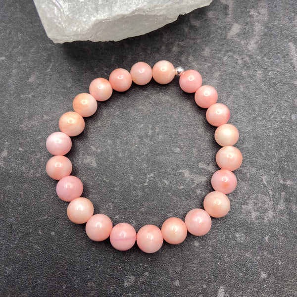 Pink Queen Conch Shell