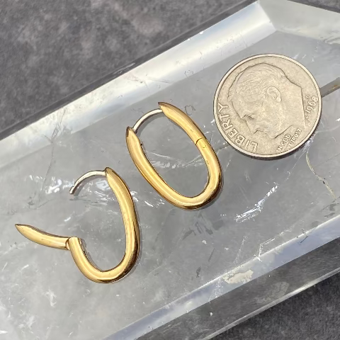 Gold Filled Huggie Earrings