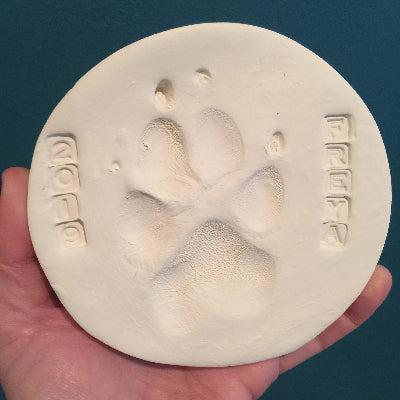 Square Pet Paw Print or Nose Print Keychain