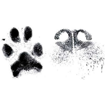 Round Dog Paw or Nose Print Necklace with Toggle clasp - Actual Dog Paw Print or Nose Print